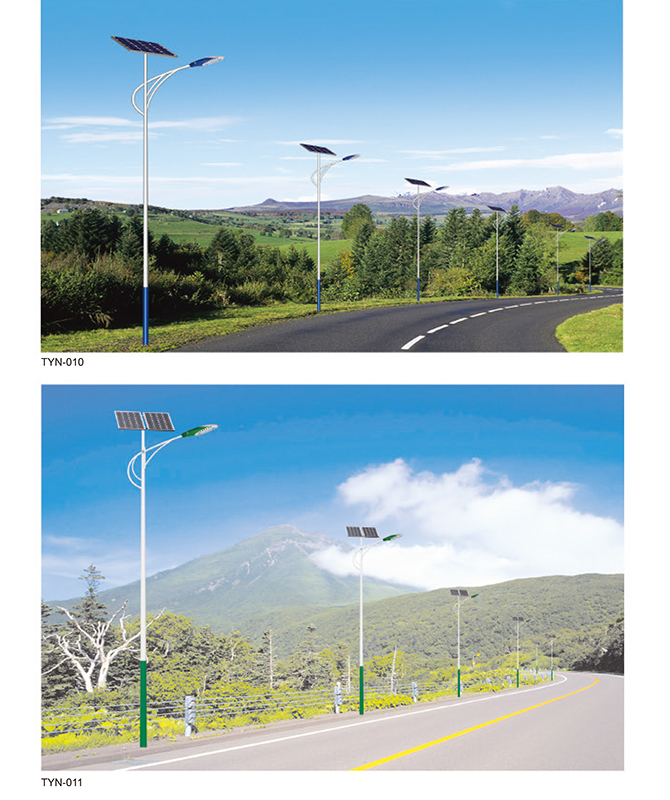 TYN-010/TYN-011 Solar Street Light integrato